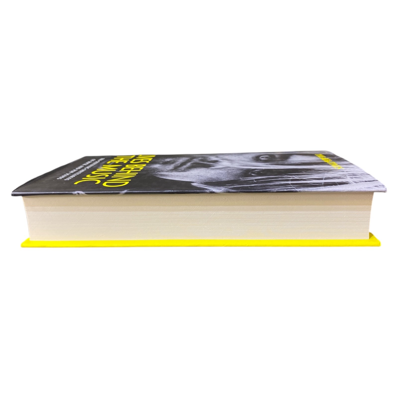 Lives Behind the Music Rock Pop Icons Obituaries Biography First Edition Book