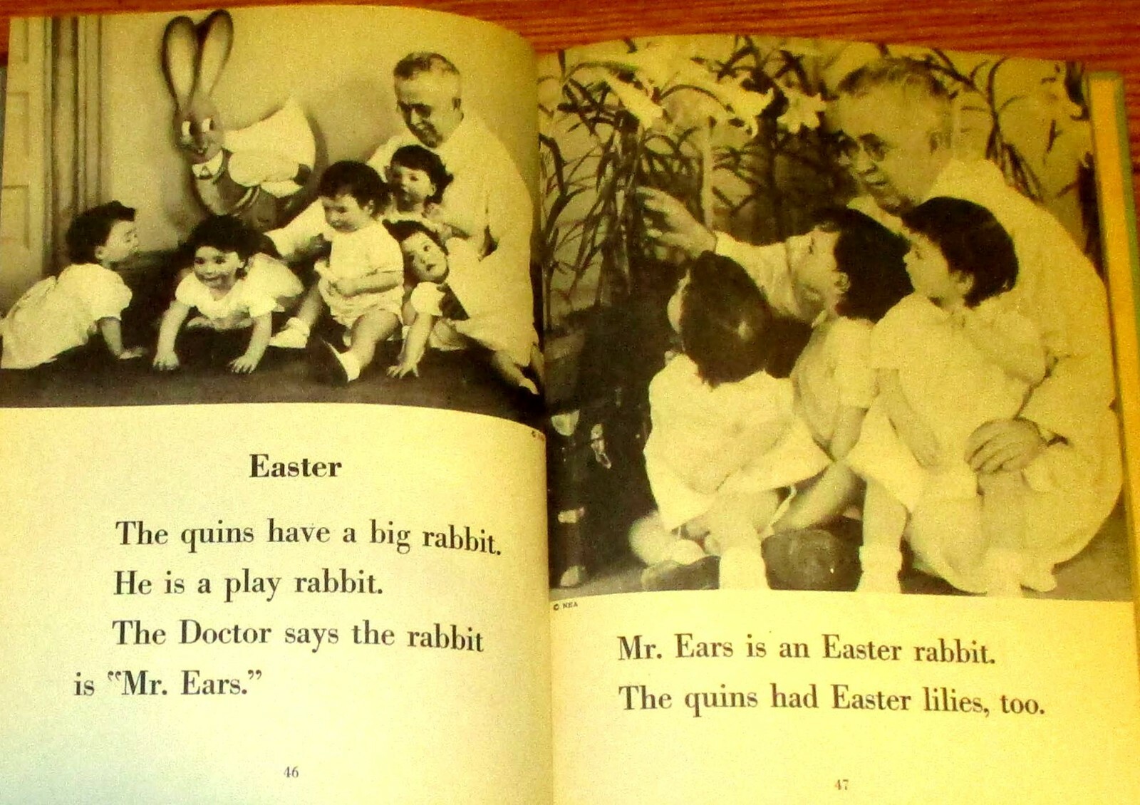 The Quins’ Book SIGNED by Jean Ayer 1937 114 Pages H/C Photograph Book RARE!!