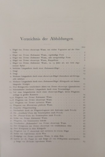 Termitenleben auf Ceylon. Neue Studien zur Soziologie der Tiere zugleich ein Kap