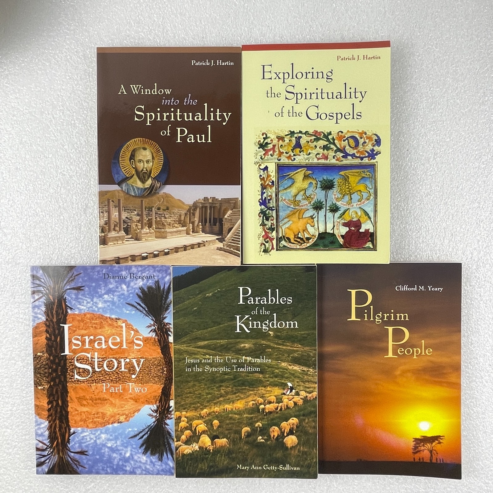 Biblical Studies Lot 5 Books Liturgical Press Spirituality Paul Gospels Parables