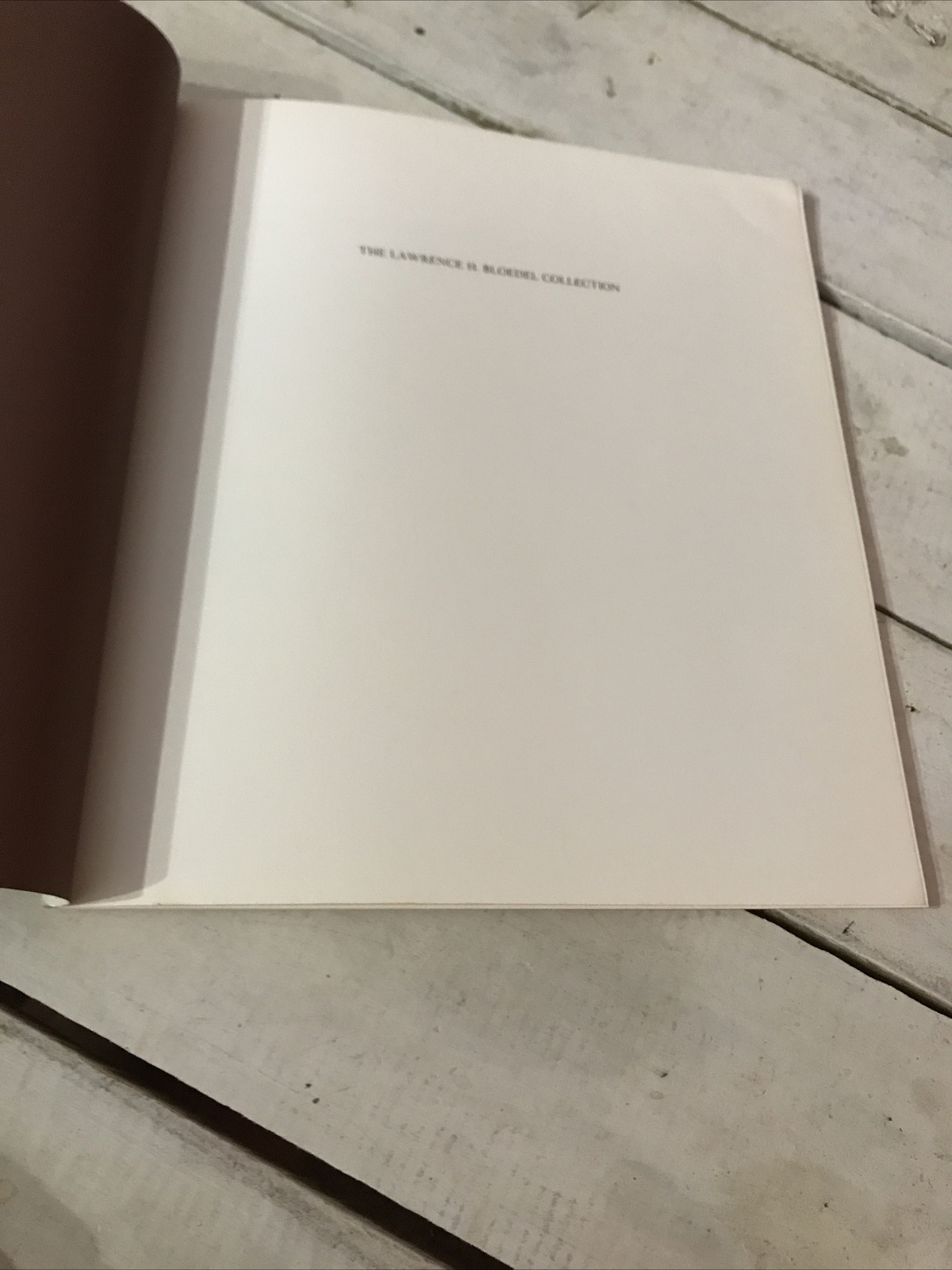 Lawrence H Bloedel Collection Rick Stewart Art Collection Paperback