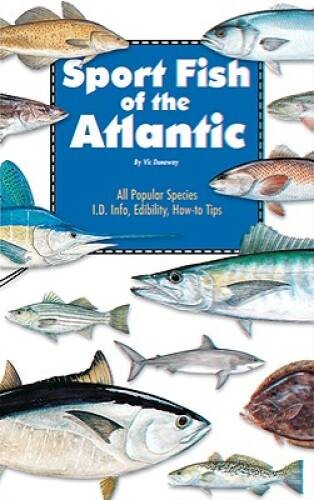 Sport Fish of the Atlantic – Paperback By Vic Dunaway – VERY GOOD