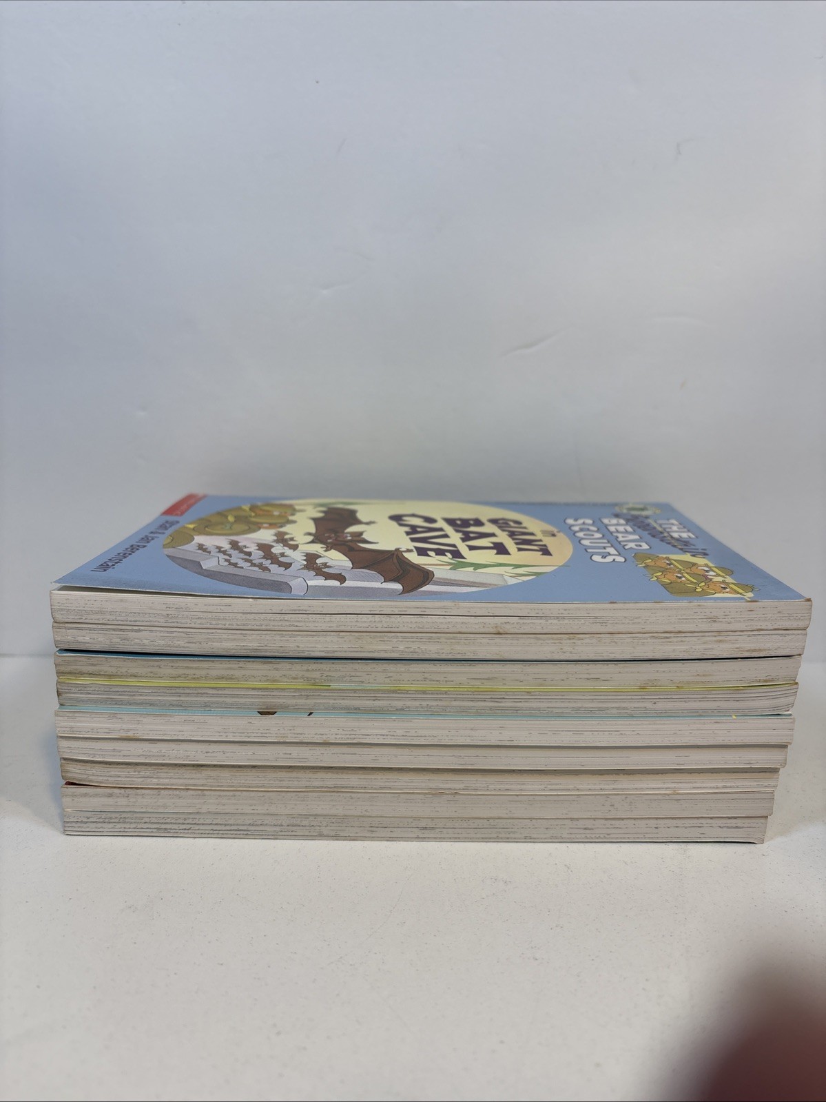 Lot of 9 Berenstain Bear Scouts Books #1, 3-7, 9-11 – Big Chapter Mysteries