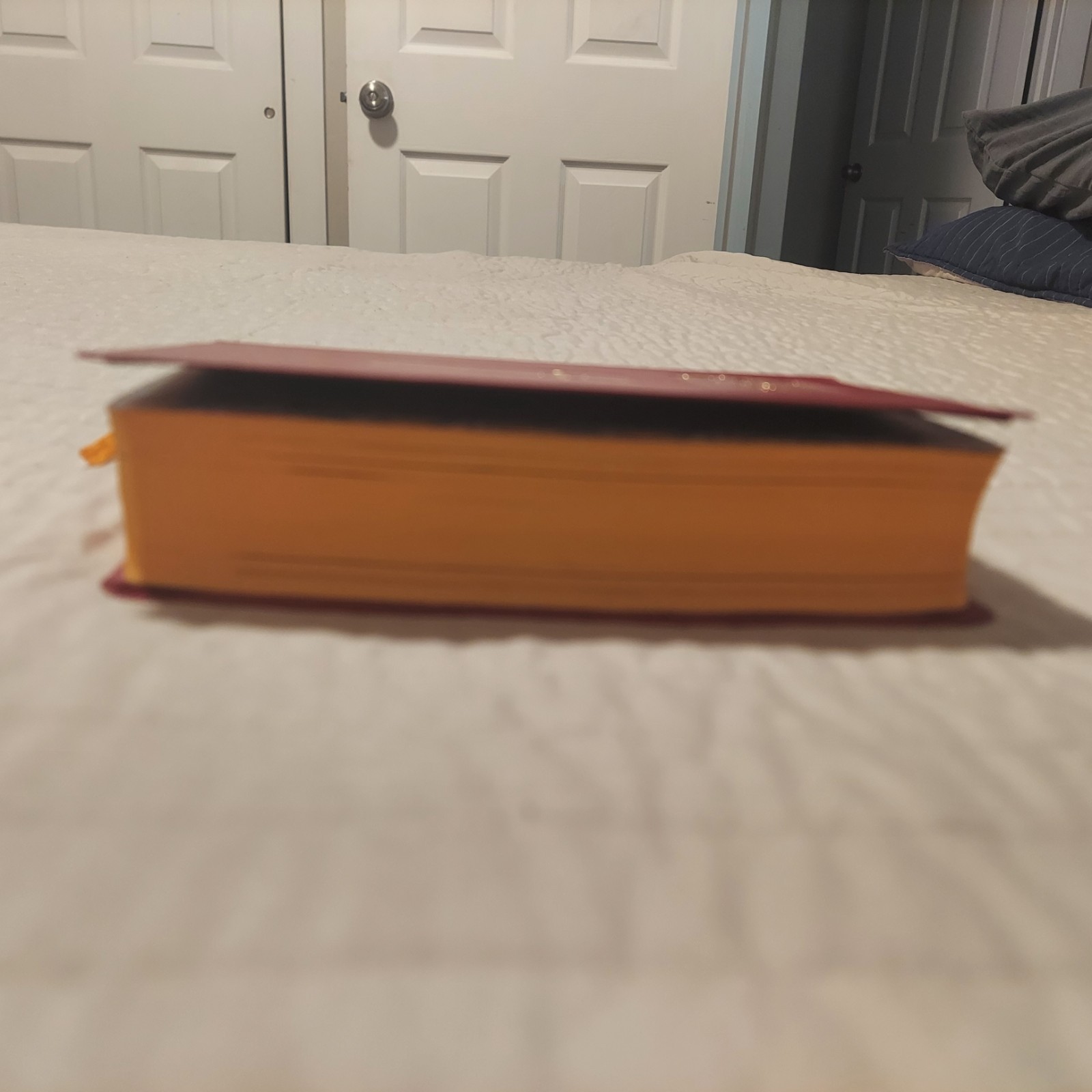 Saint Joseph Edition of The New American Bible Illustrated Simulated Leather