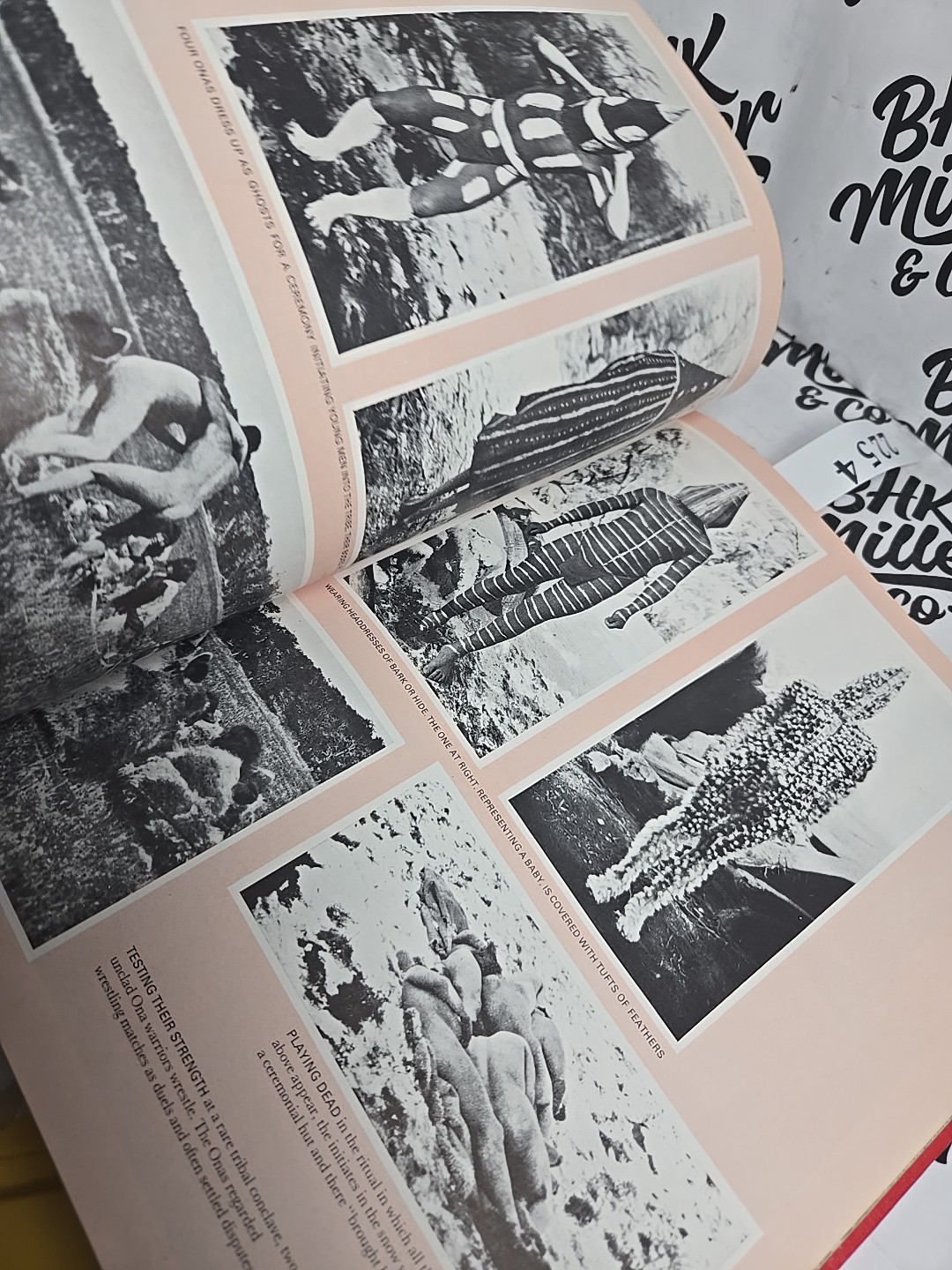 Life Nature Library EVOLUTION 1964 192 PAGES 11 x 8.5 INCHES