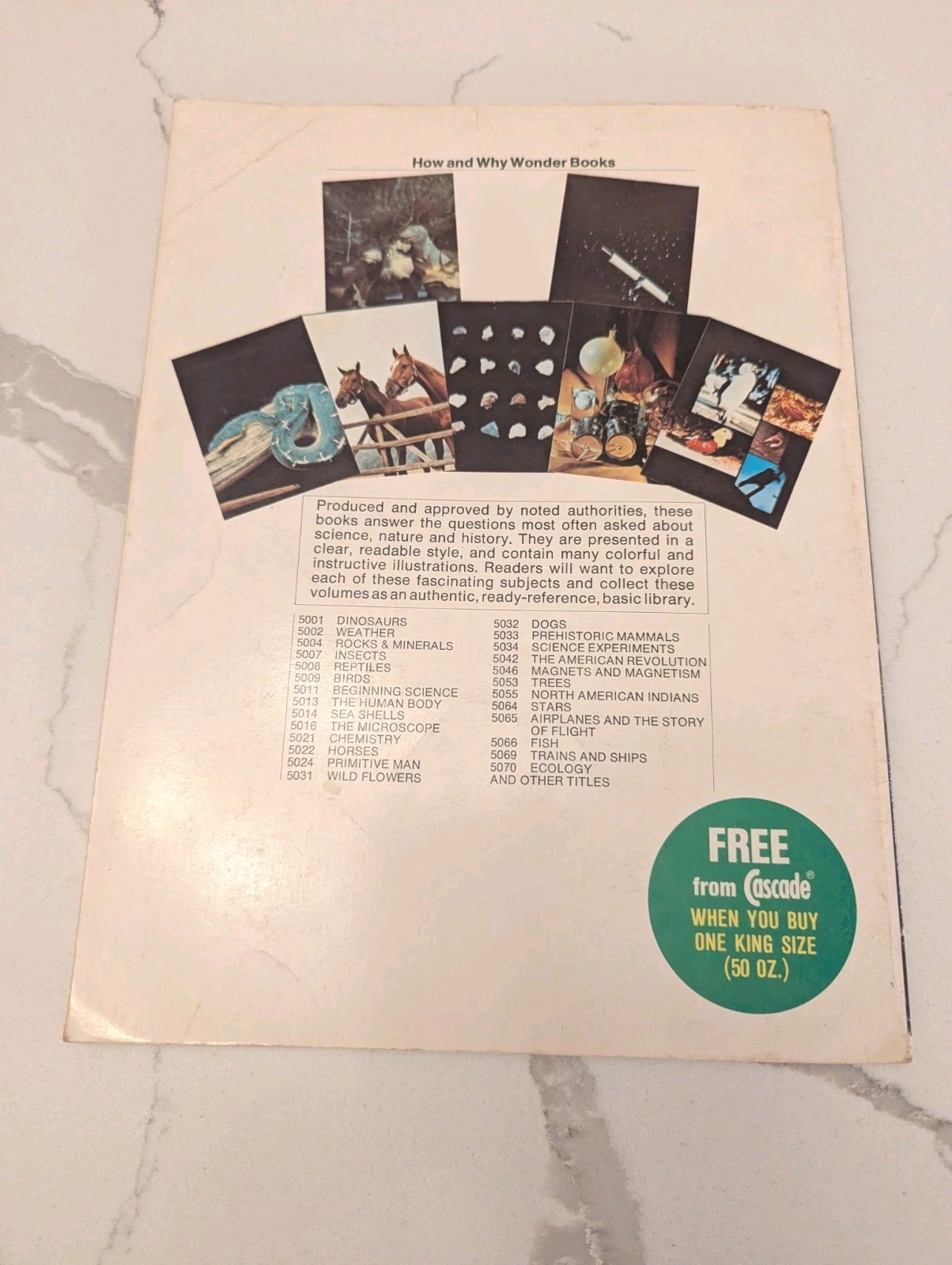 The How And Why Book Of Dinosaurs Vintage 1976 Educational Paperback