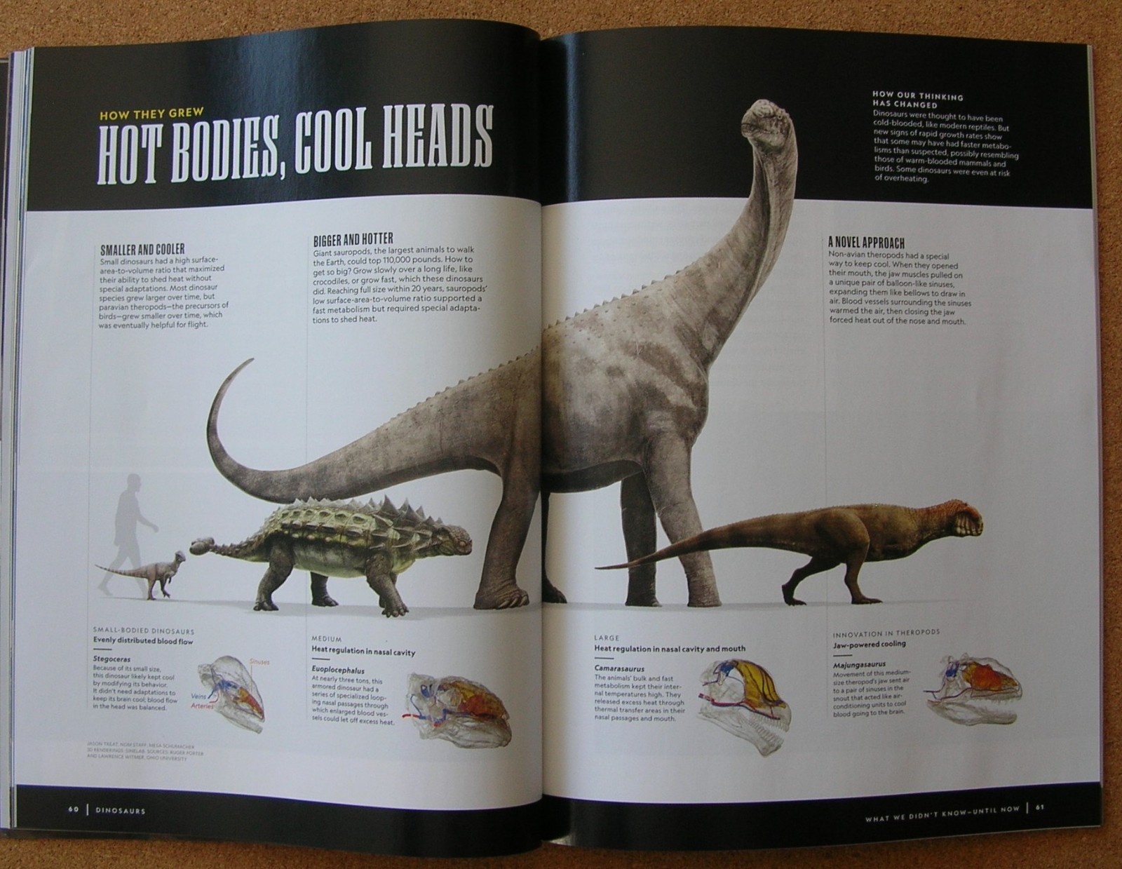 National Geographic DINOSAURS: A New Look at the Prehistoric Icons