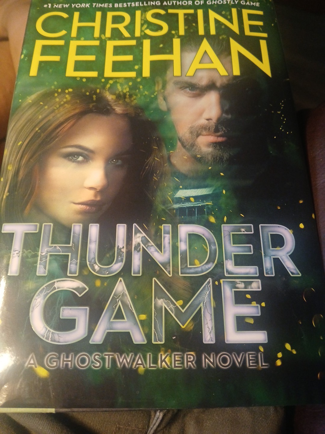 Thunder Game by Christine Feehan: Used