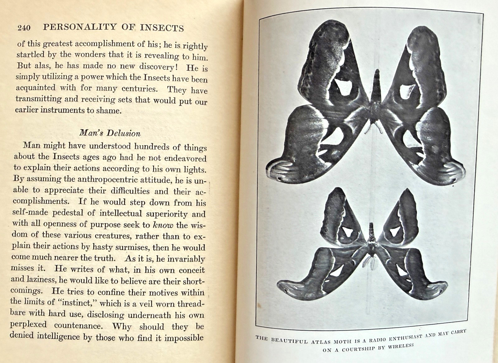 1924 1st Ed PERSONALITY of INSECTS by R. Dixon & B. Eddy HB/247pp/ILLUSTRATED