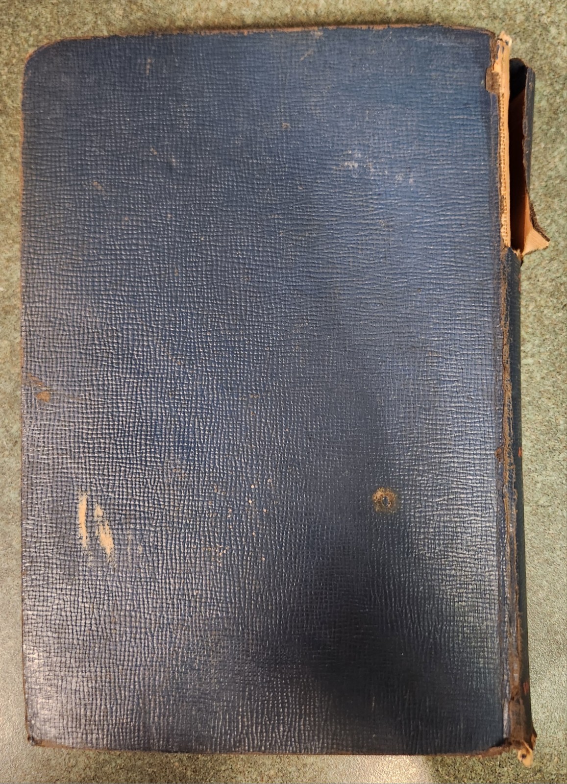 VTG Ann Sheridan and the Sign of the Sphinx 1943 Whitman Authorized Hollywood Ed