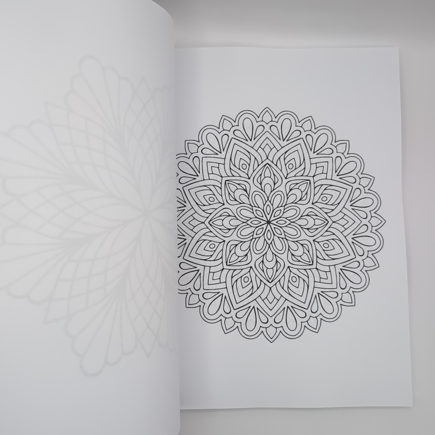 Coloring Book for Adults: 100 Mandalas: Stress Relieving Mandala Designs for Adu