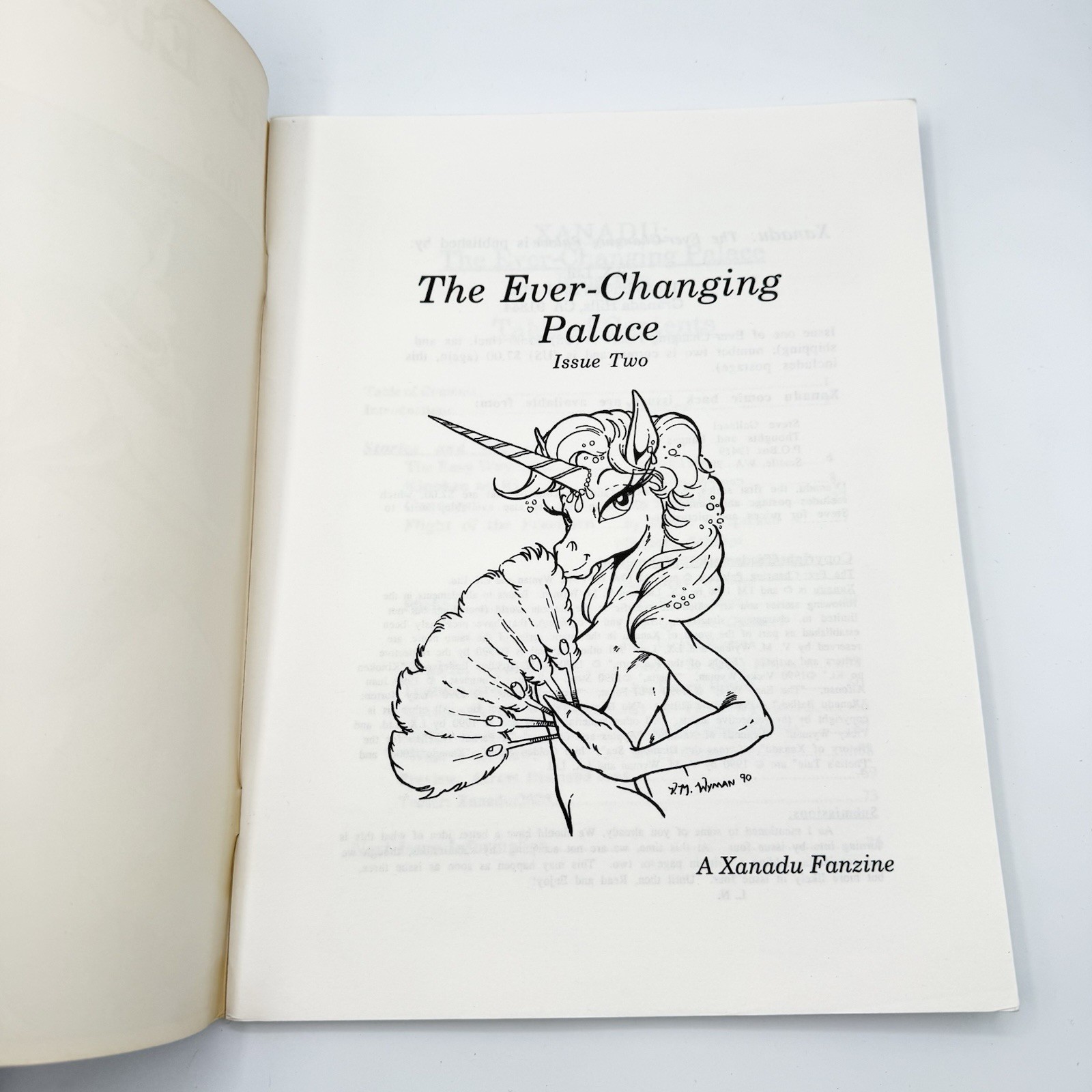 The Ever-Changing Palace: A Xanadu Fanzine Issue Two #2 Vicky Wyman 1990