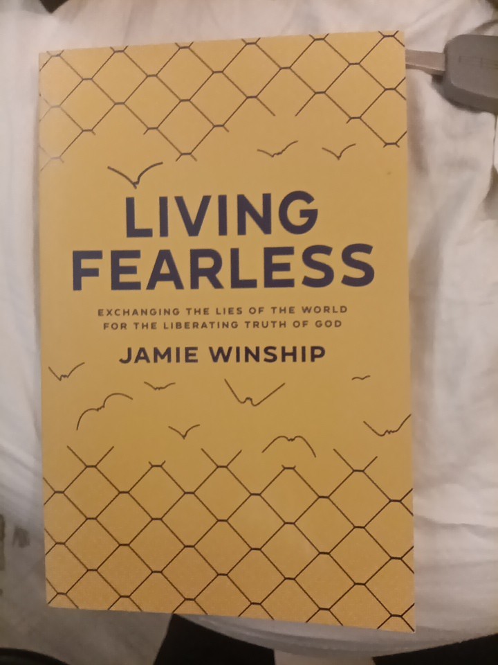 Living Fearless: Exchanging the Lies of the World for the Liberating Truth o…