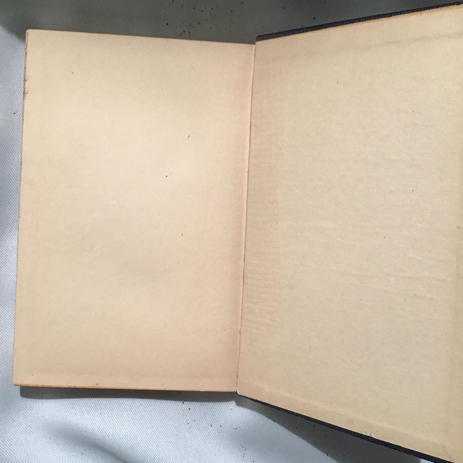 1904 Works of Edgar Allan Poe in Ten Vol, Commemorative Ed. No I and III vol.