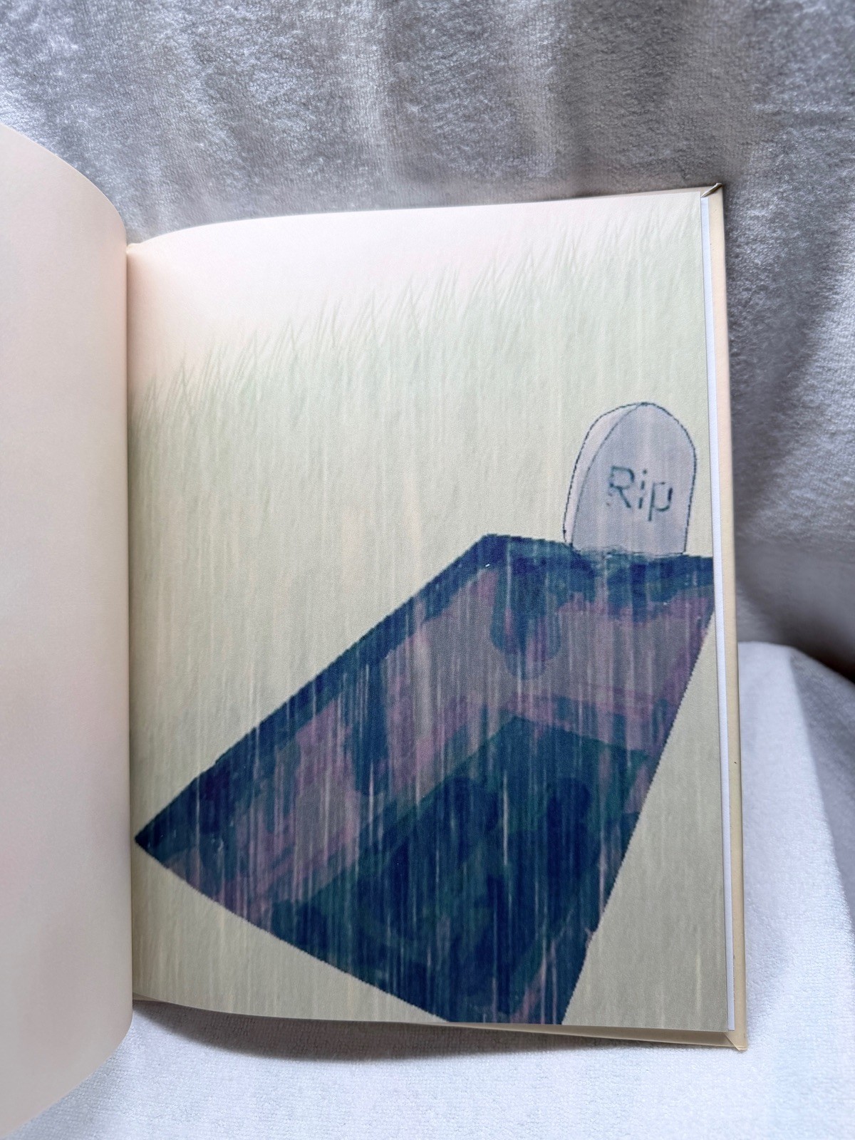 Visiting a Friend Halrai Hardcover 2021 Blurb Book Illustrated Story Used