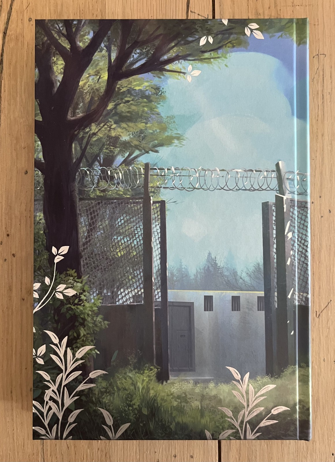 SIGNED To Cage a Wild Bird by Brooke Fast – Fairyloot Special Edition