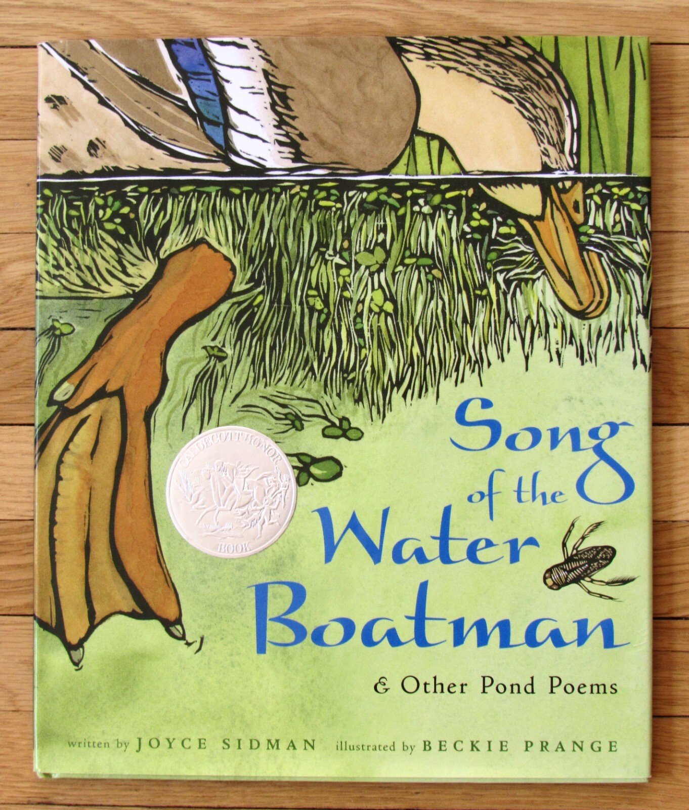 SONG OF THE WATER BOATMAN Joyce Sidman, Beckie Prange Caldecott 2012 HBDJ EXC L1