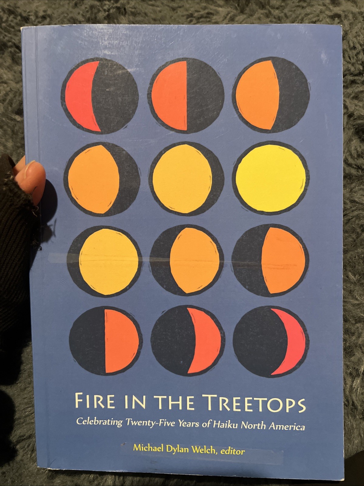 Fire in the Treetops: Celebrating Twenty-Five Years of Haiku North America B-447