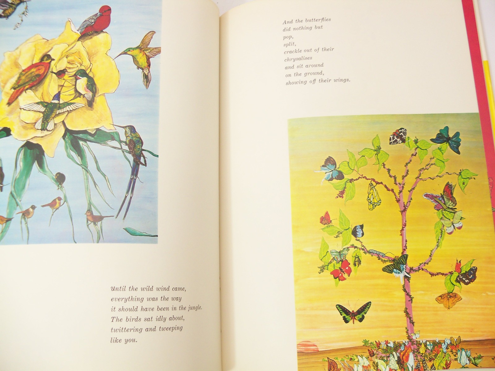 Tiger Flower by Robert Vavra Illustrated by Fleur Cowles Signed 1968 Hardcover