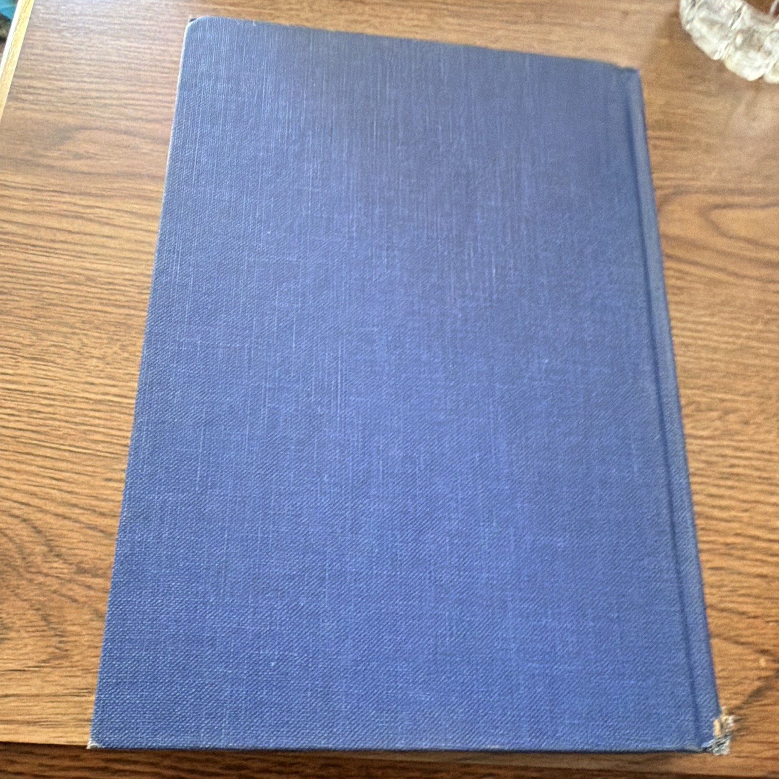 Vina Delmar The Marcaboth Women Hardcover Harcourt, Brace and Company 1951