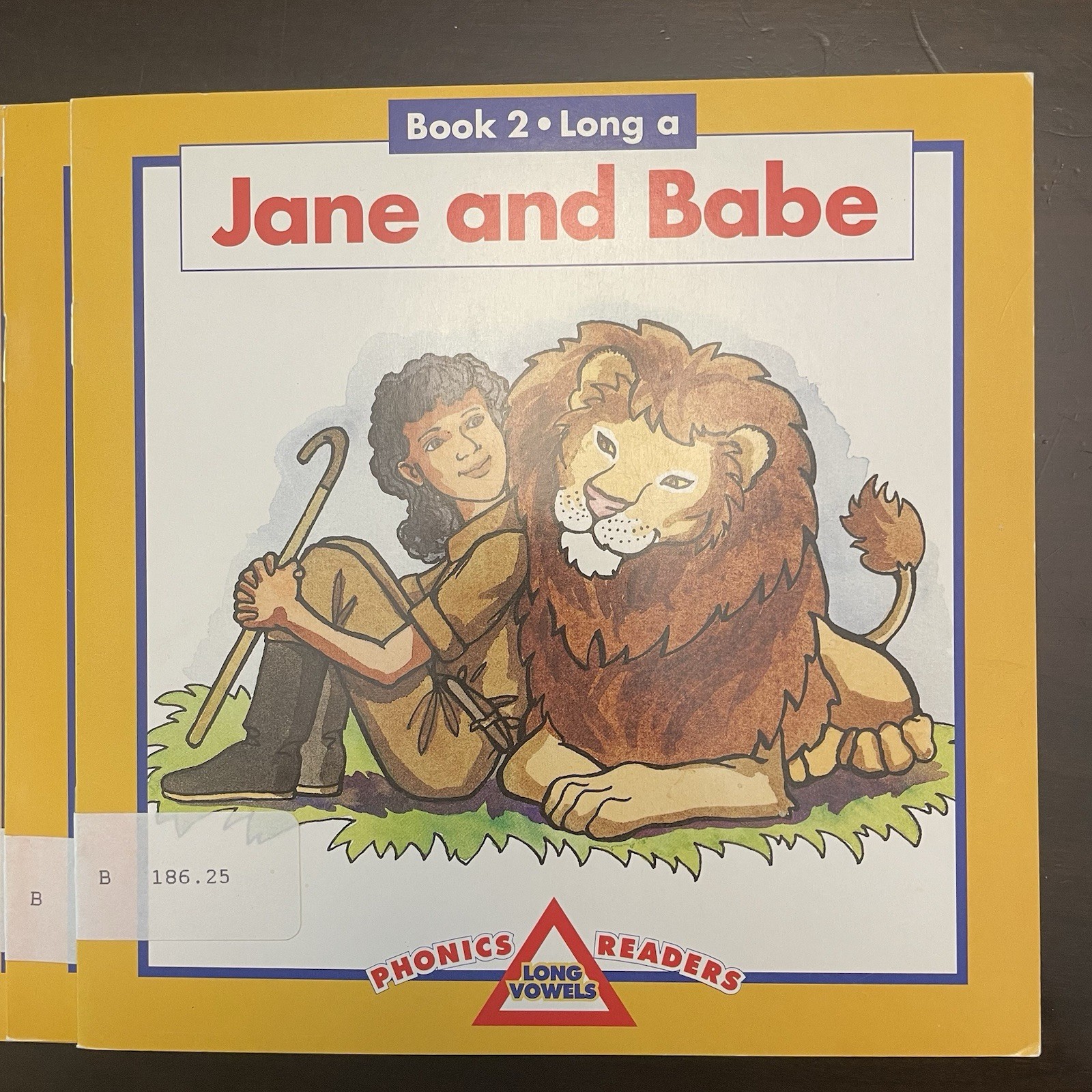 Phonics Readers Long Vowels SET OF TEN different decodeable books