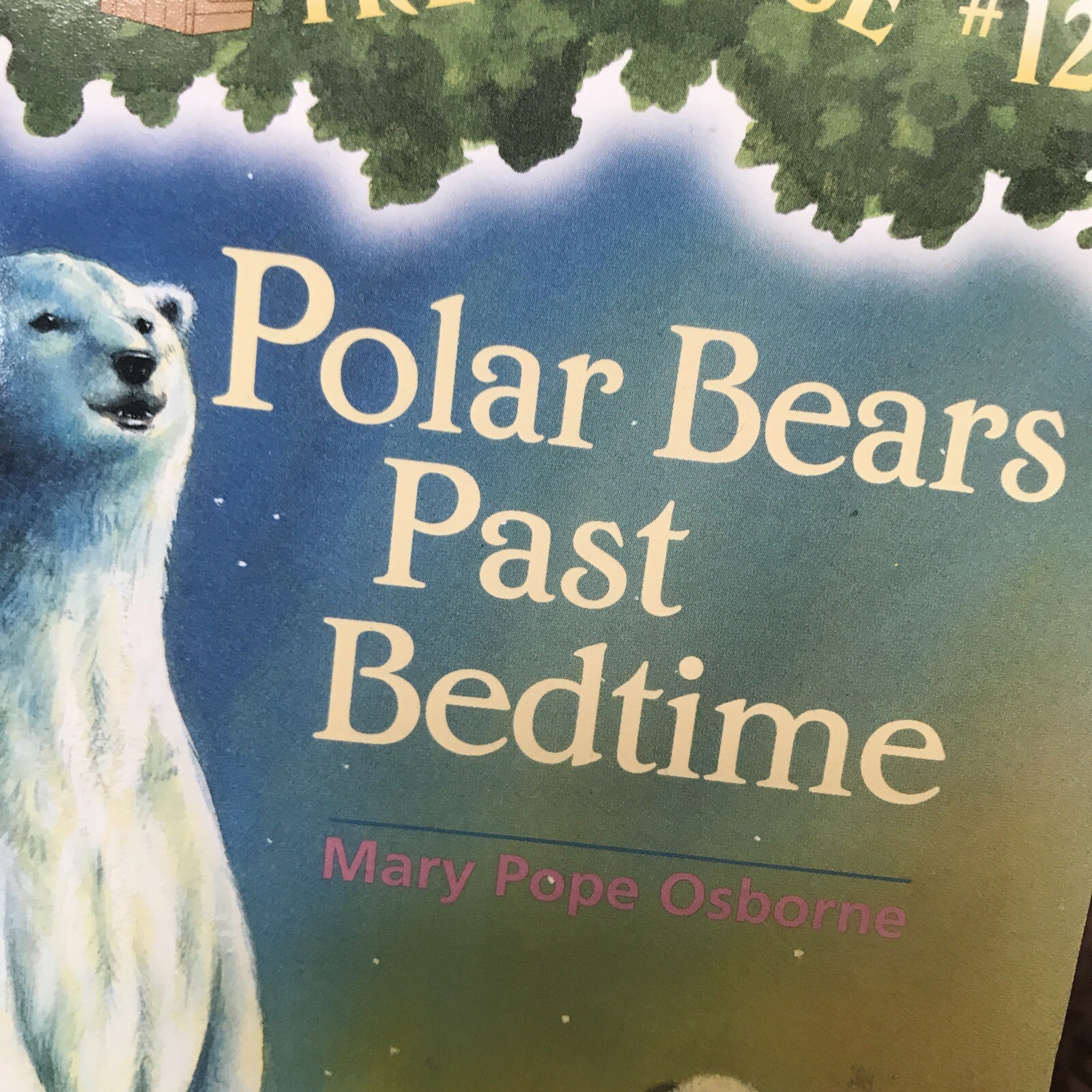 Polar Bears Past Bedtime by Mary Pope Osborne