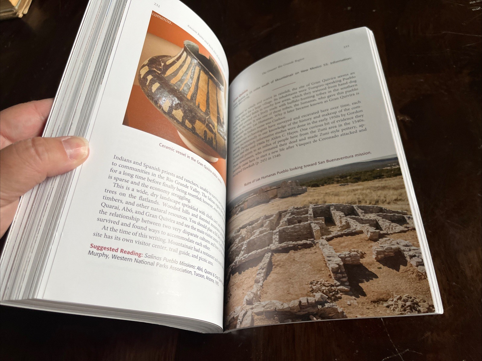 Ancient Ruins and Rock Art of the Southwest: An Archaeological Guide David Noble