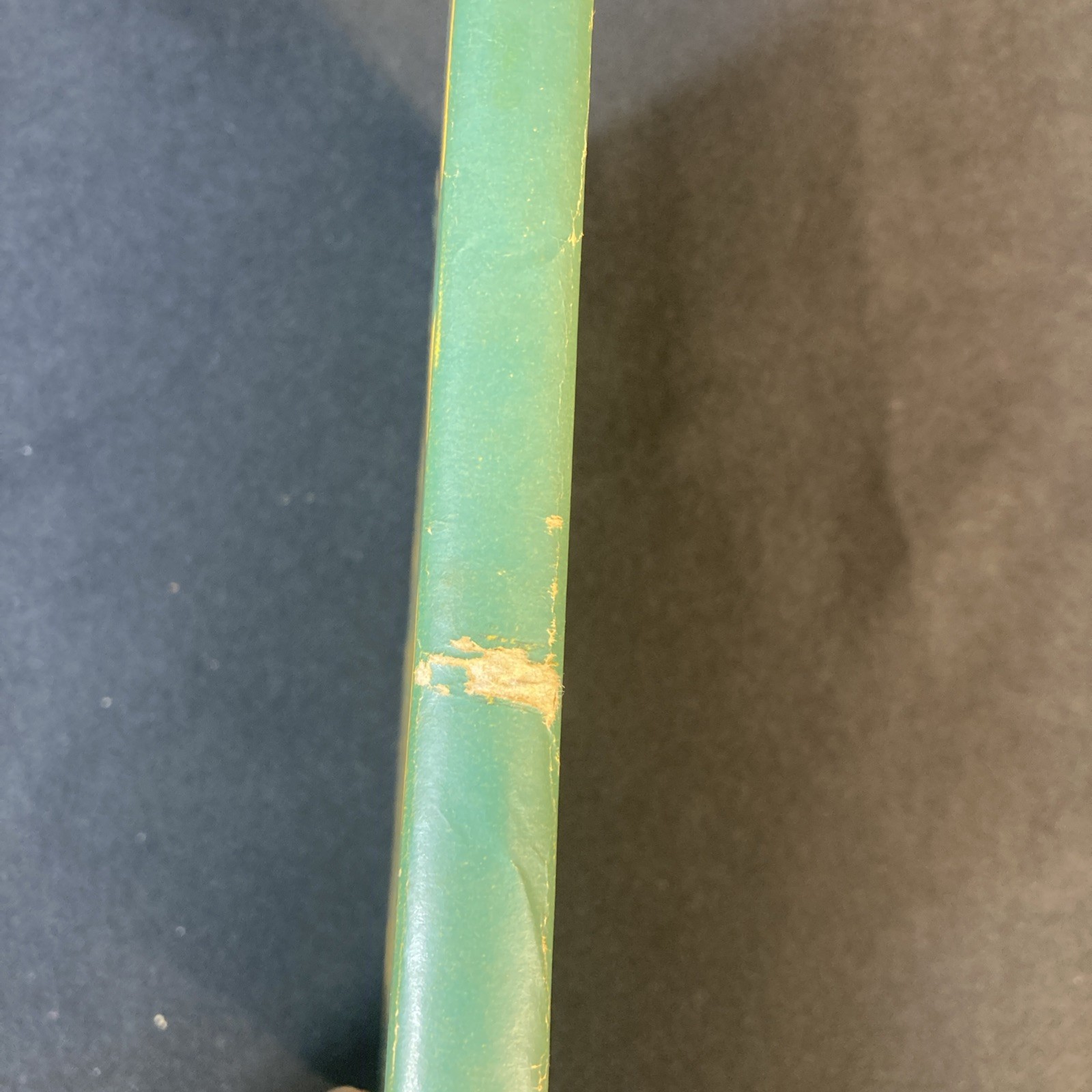1949 The Fun Biography of Willie the Worm, Lou D Greenlee ~ Fun Nature Series