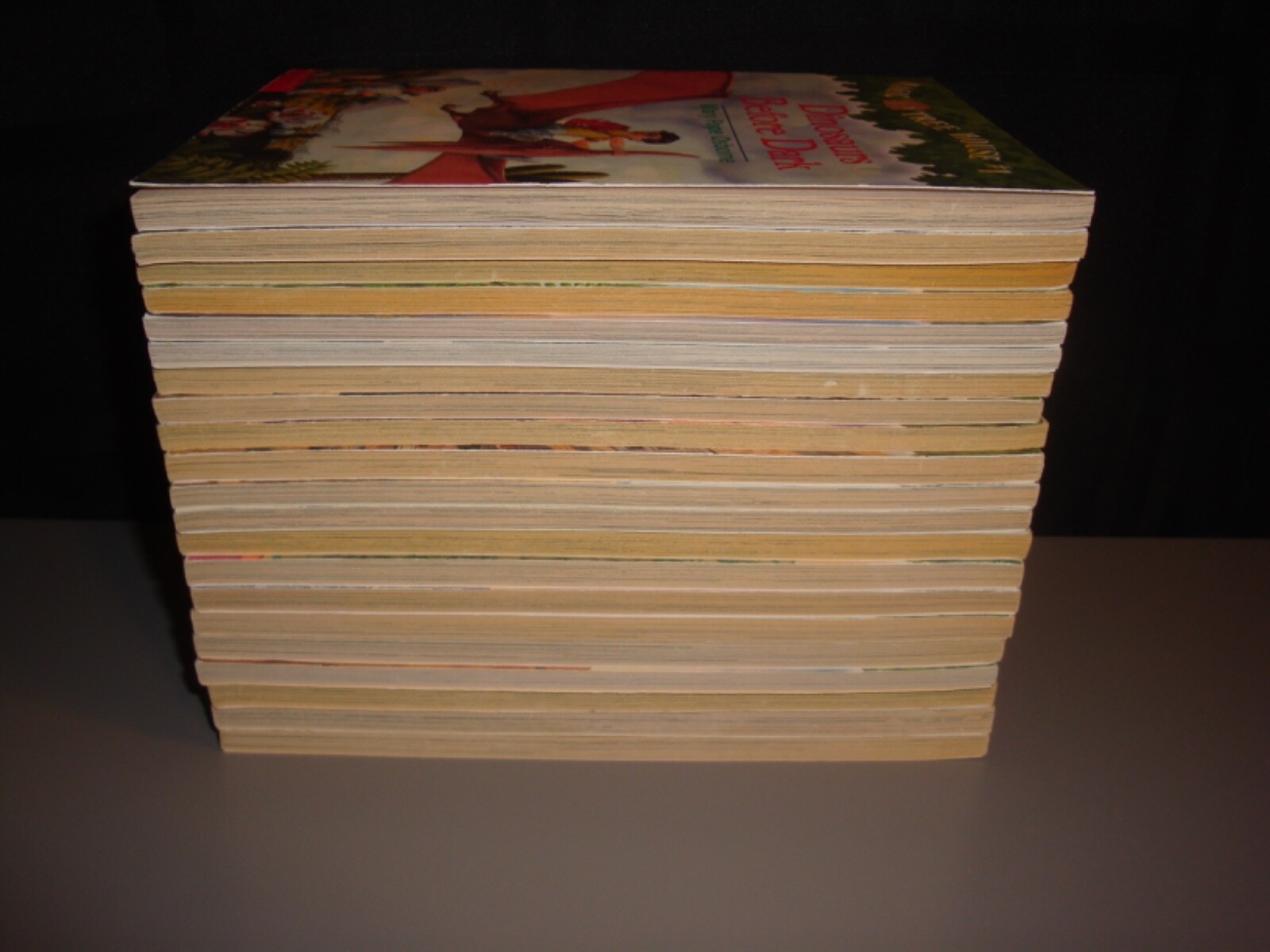 Magic Tree House Series 1-21 Chapter Book Lot Mary Pope Osborne Teacher Class AR