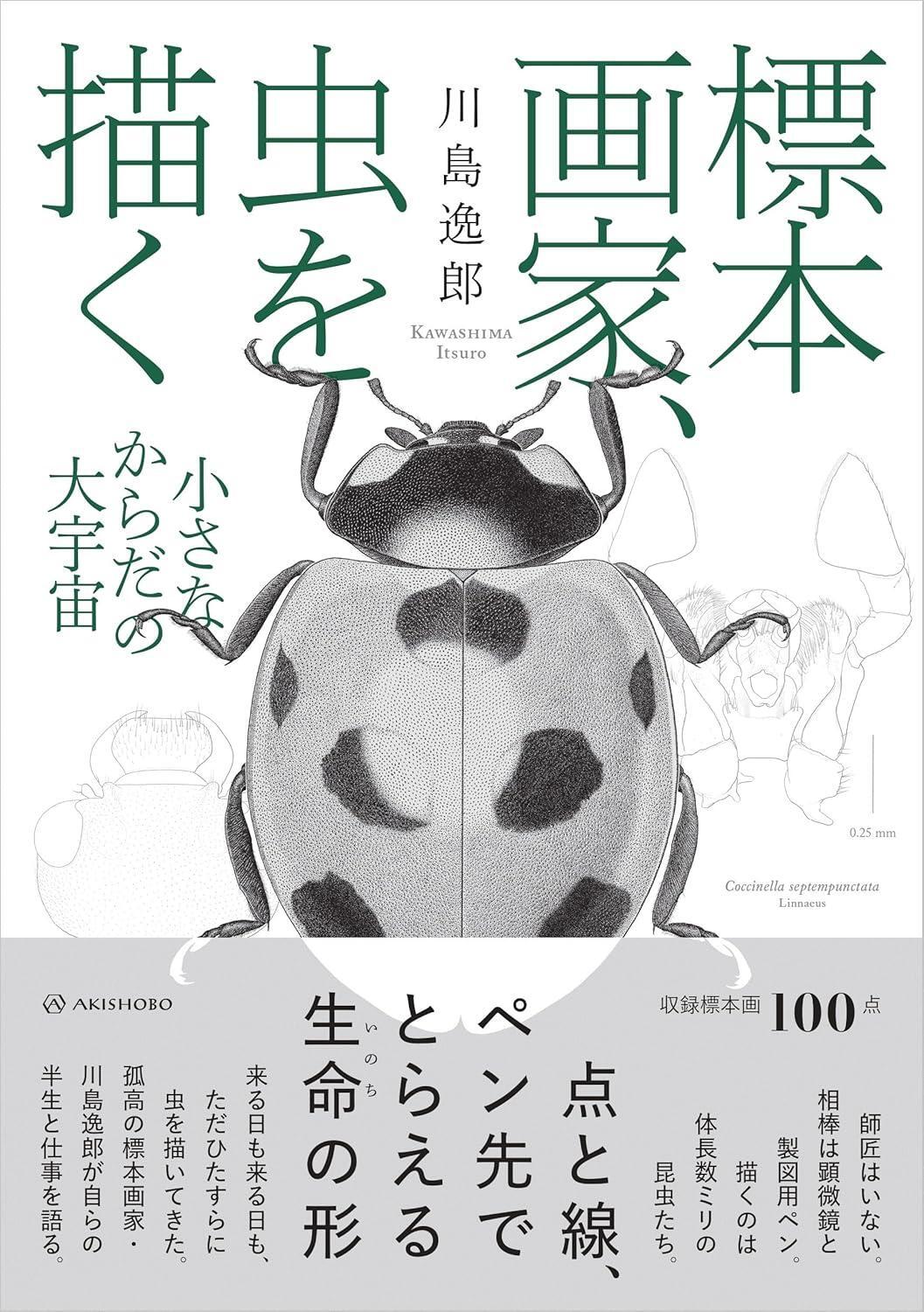 Book The Specimen Painter: Drawing Insects – The Great Universe of… Japanese