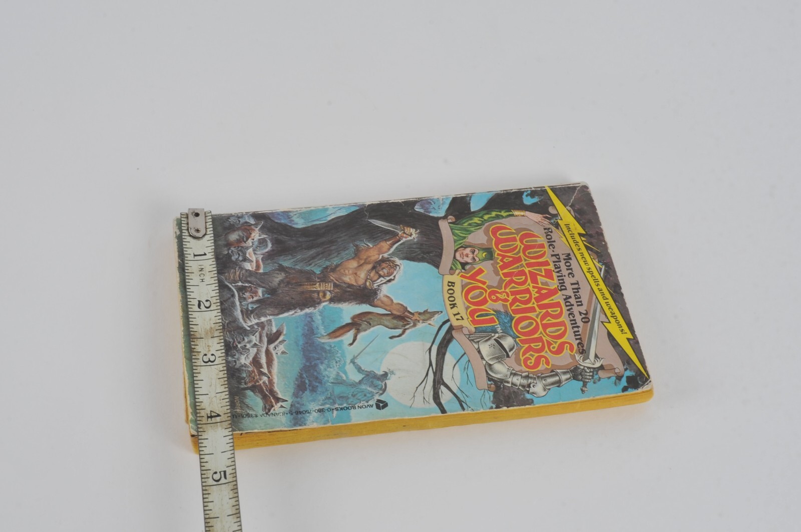 Wizards Warriors & You Book #17 Conquest Of The Barbarians First Printing 1986