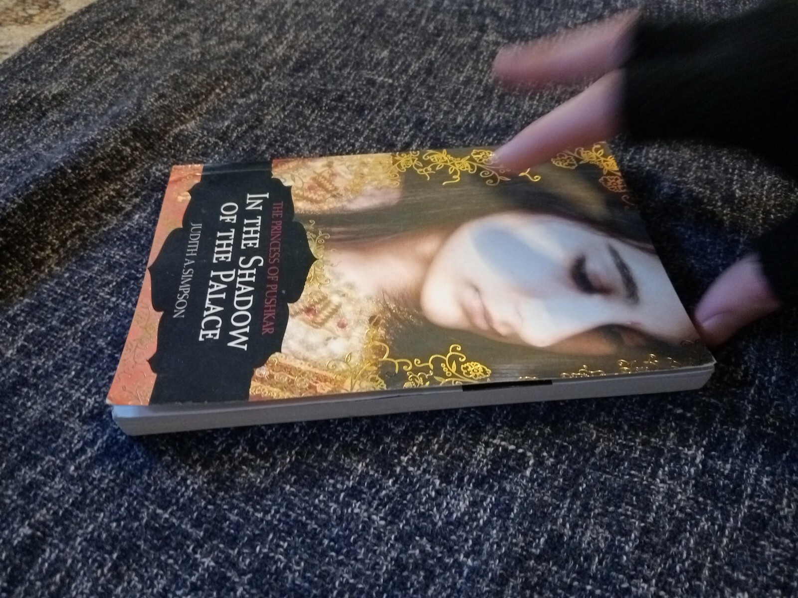 In The Shadow Of The Palace: The Princess Of Pushkar by Judith A. Simpson PB