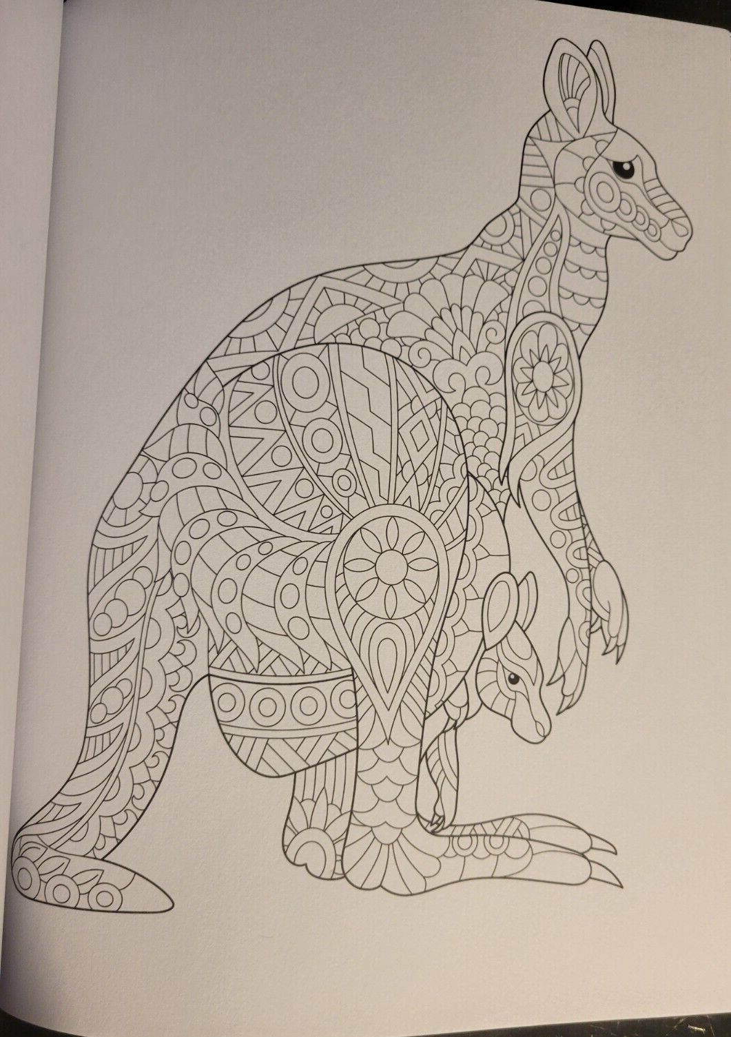 MAGNIFICENT CREATURES Vol 19 – Adult Coloring Book by TOPIX MEDIA – 47 PRINTS