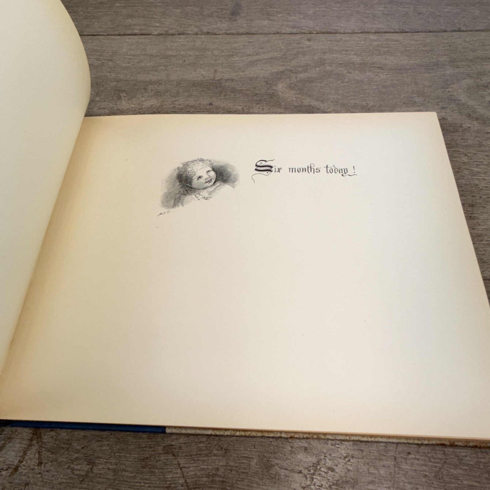 Vintage 1897 Baby’s Kingdom Annie F. Cox Baby Memory Book Hardcover Boston MA