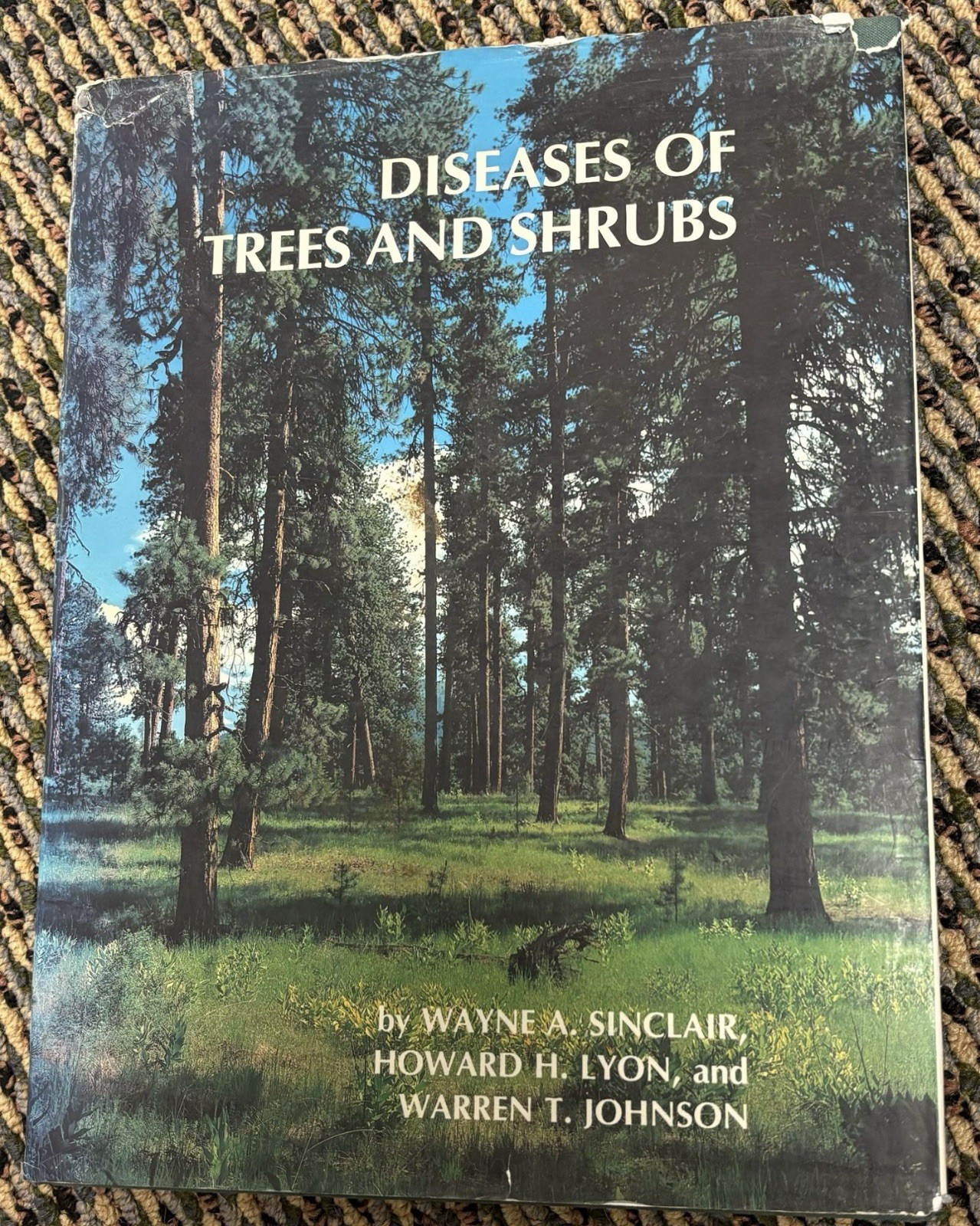 Diseases of Trees and Shrubs by Howard H. Lyon, Wayne A. Sinclair and Warren T.