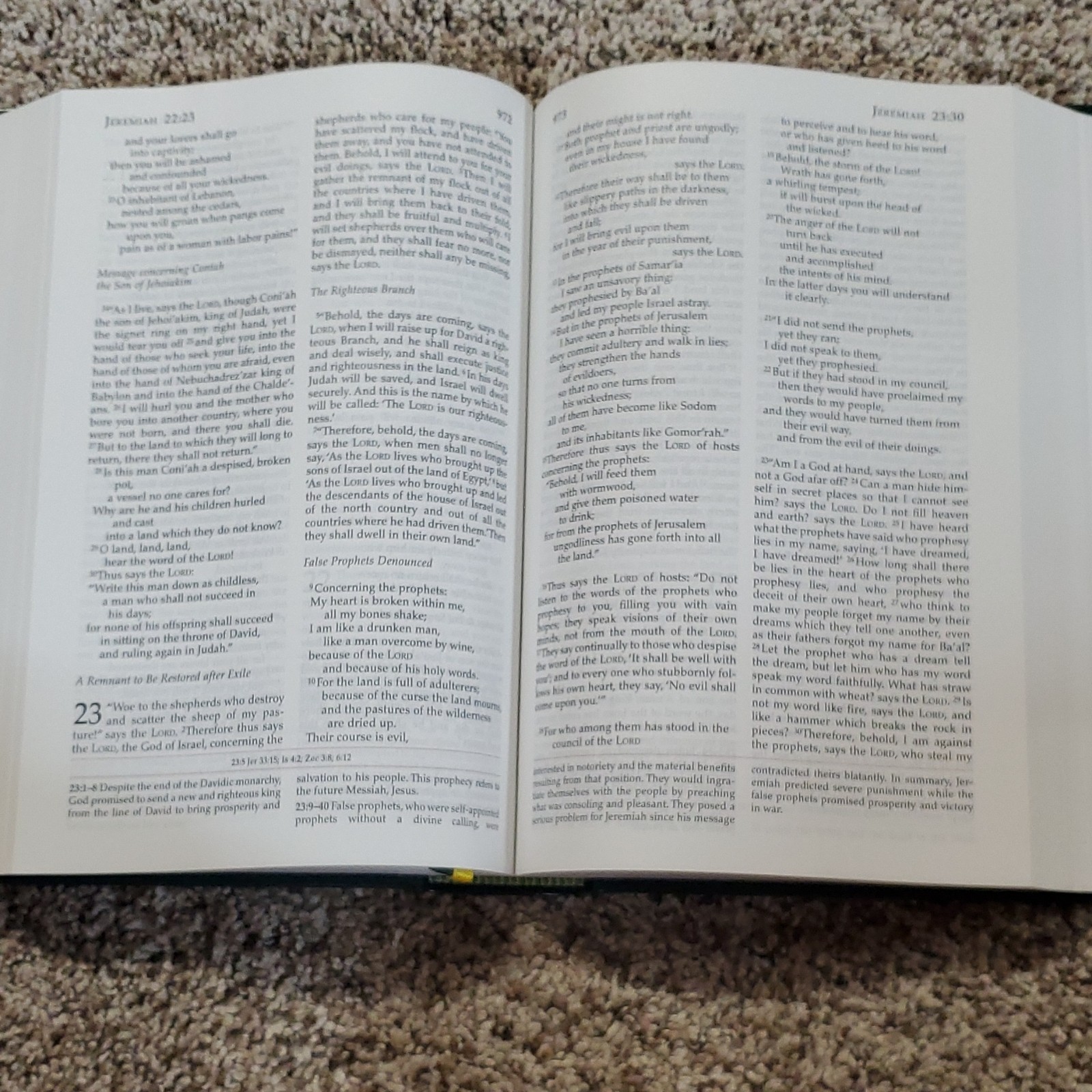Didache Bible + Great Adventure Ascension Press Bible