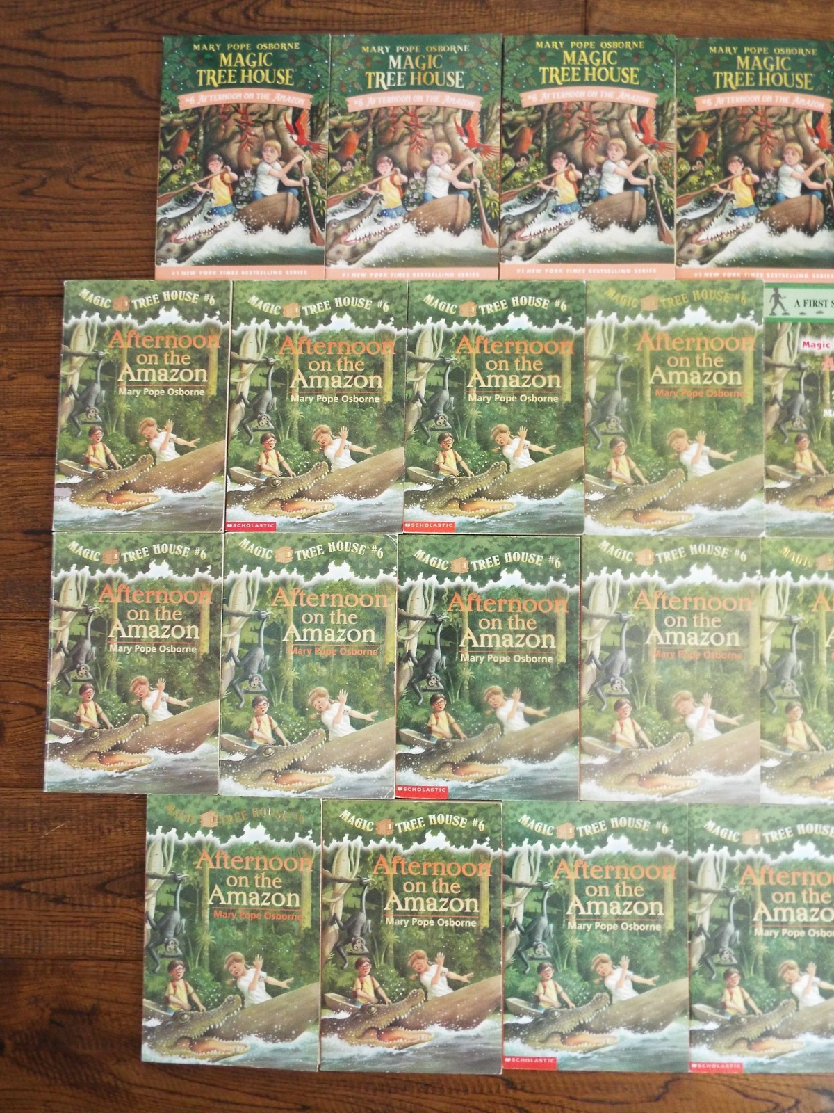 Lot 22 Magic Tree House Guided Reading #6 Afternoon on the Amazon Books