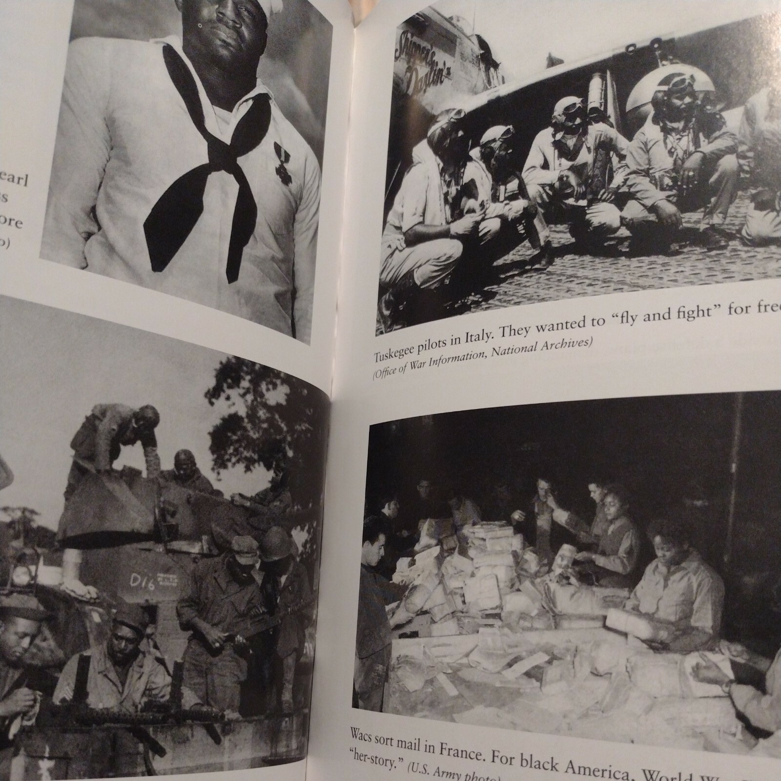 Double Victory : A Multicultural History of America in World War II by Ronald T…