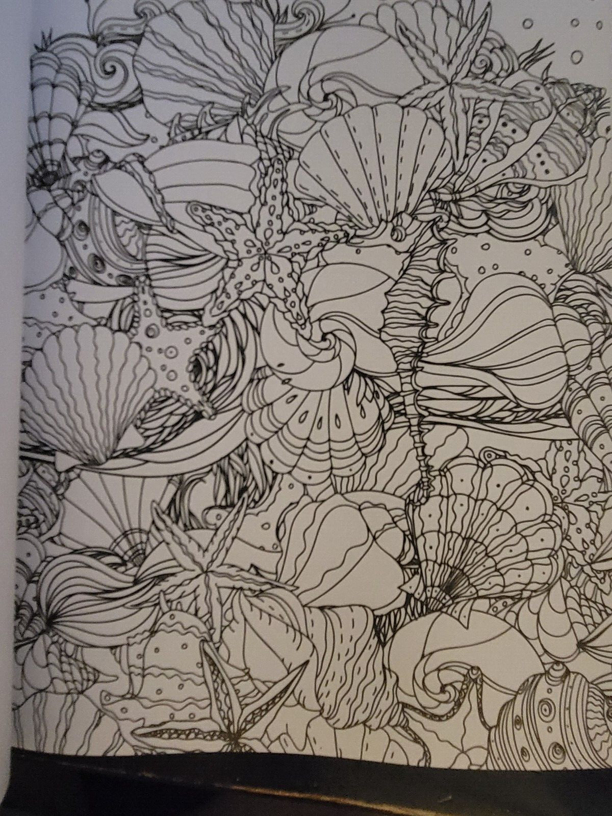 COLORS OF THE WILD Vol. 19 Adult Coloring Book With 47 Prints Ready To Frame!