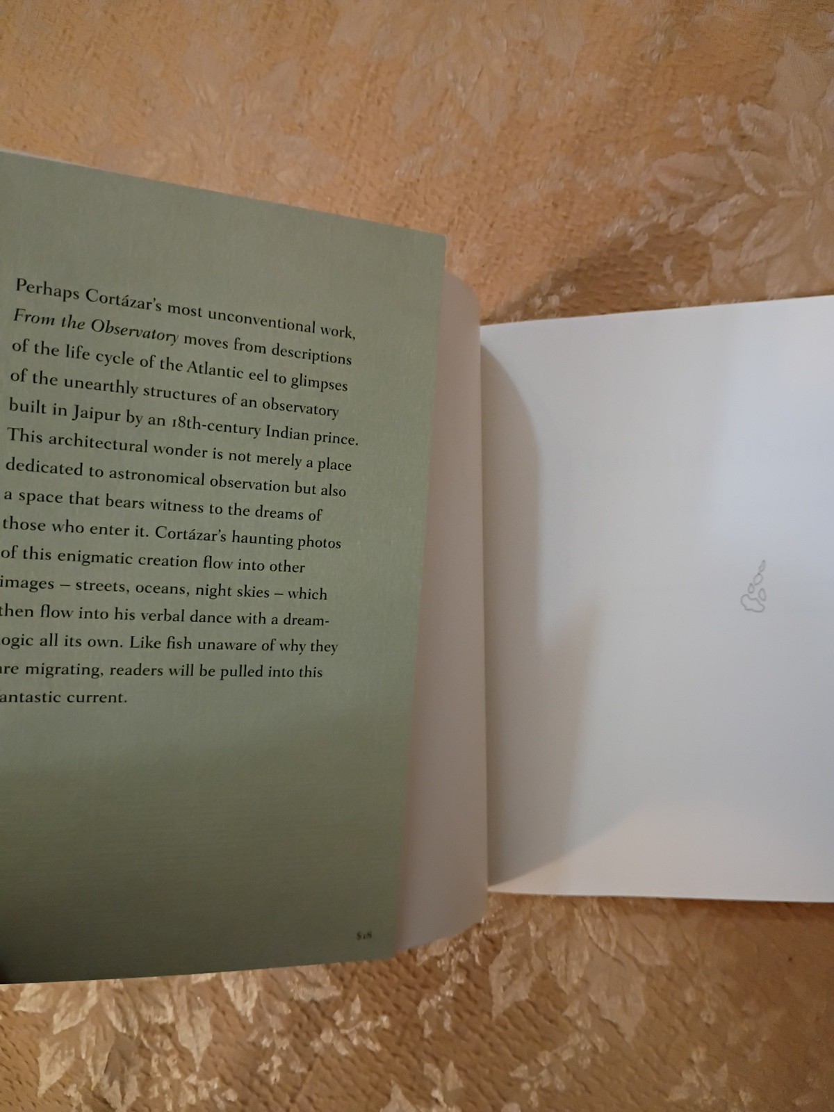 2011 From the Observatory Julio Cortázar 1st Archipelago Books Edition Paperback