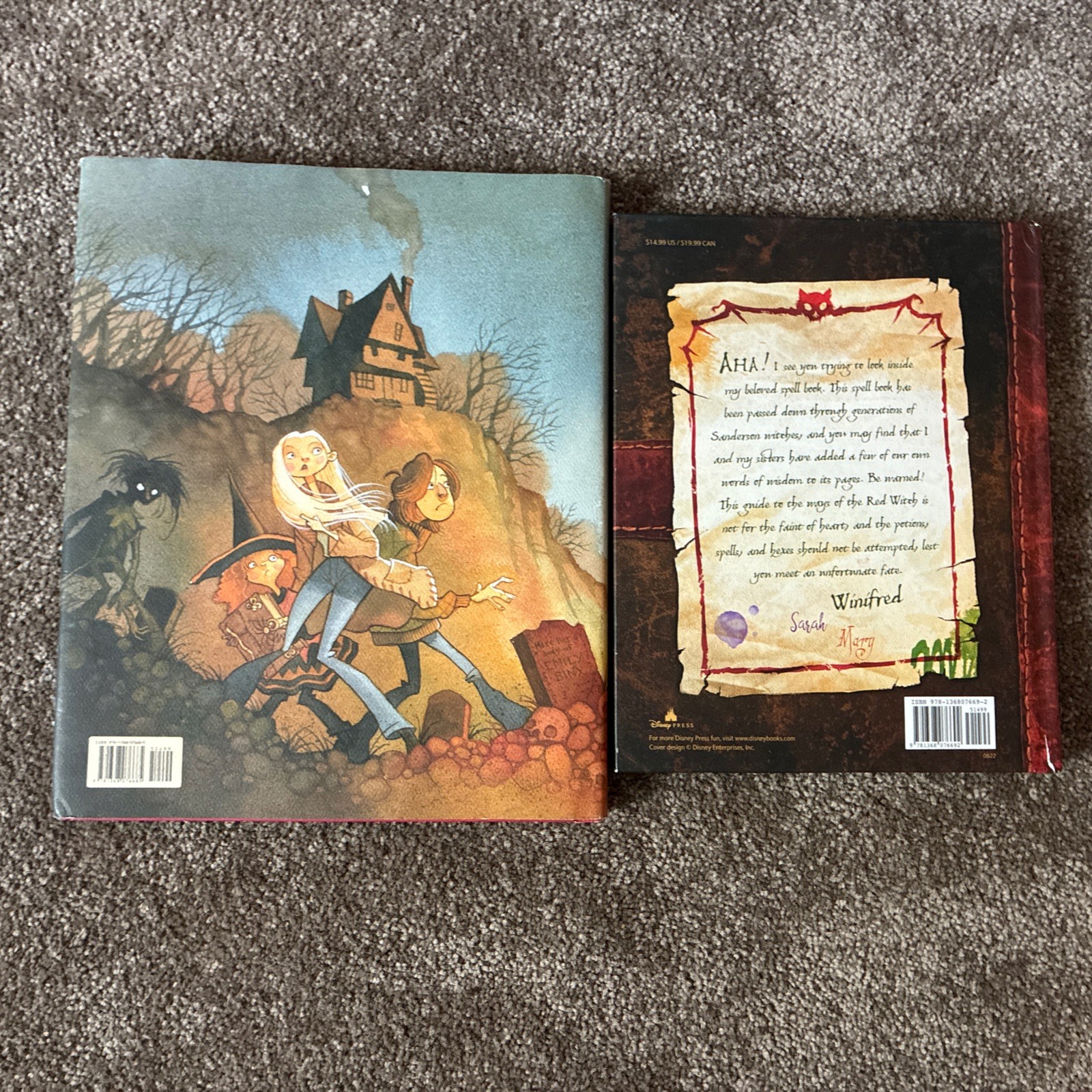 Disney Hocus Pocus Book Lot The Illustrated Novelization & Spell Book Halloween