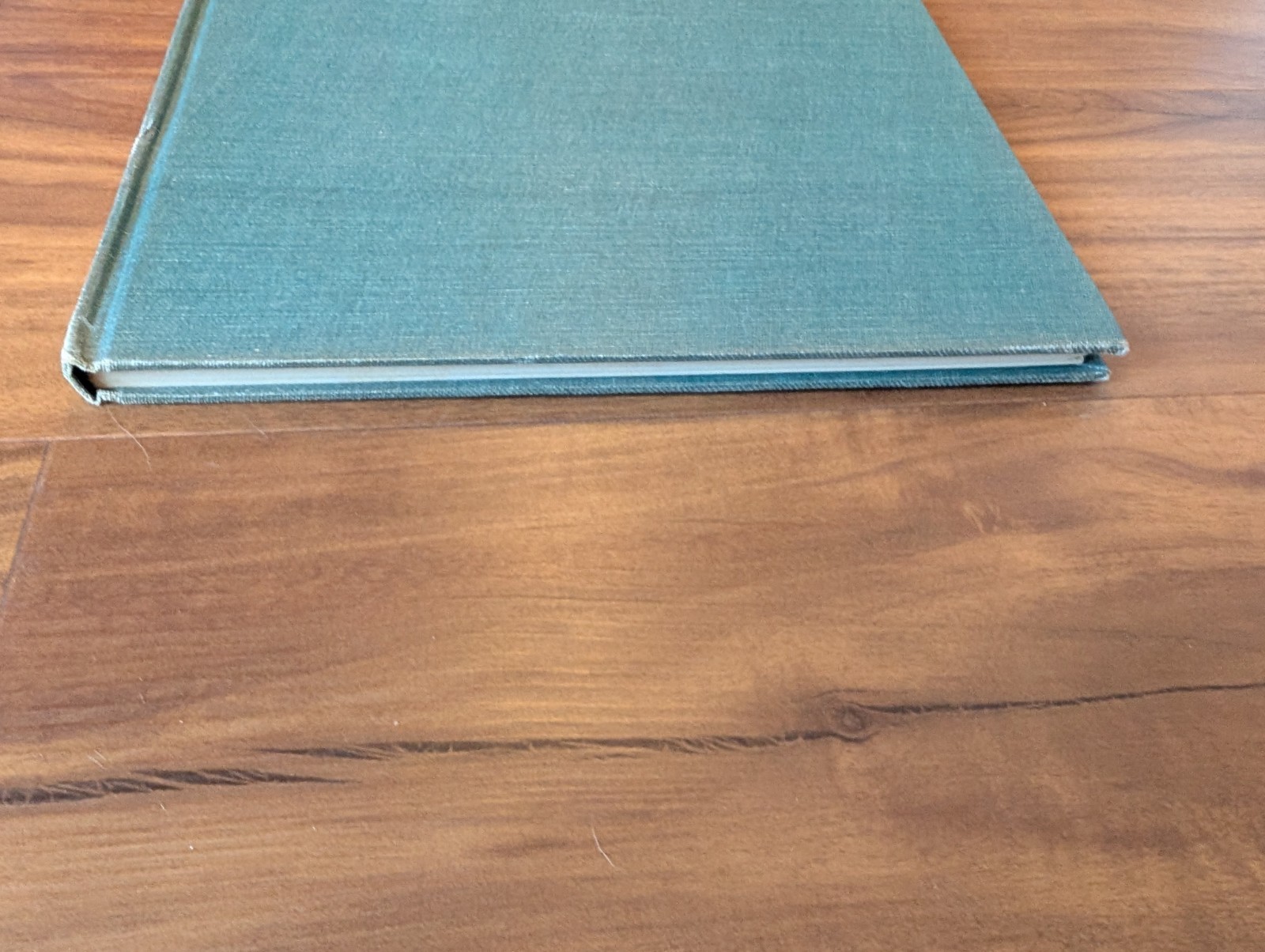An Introduction To Trees by John Kieran 100 Trees In Color 1954 1ST EDITION