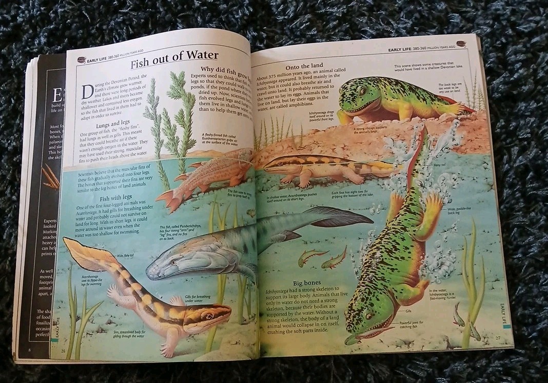 Prehistoric World – USBORNE WORLD HISTORY Vtg 2000