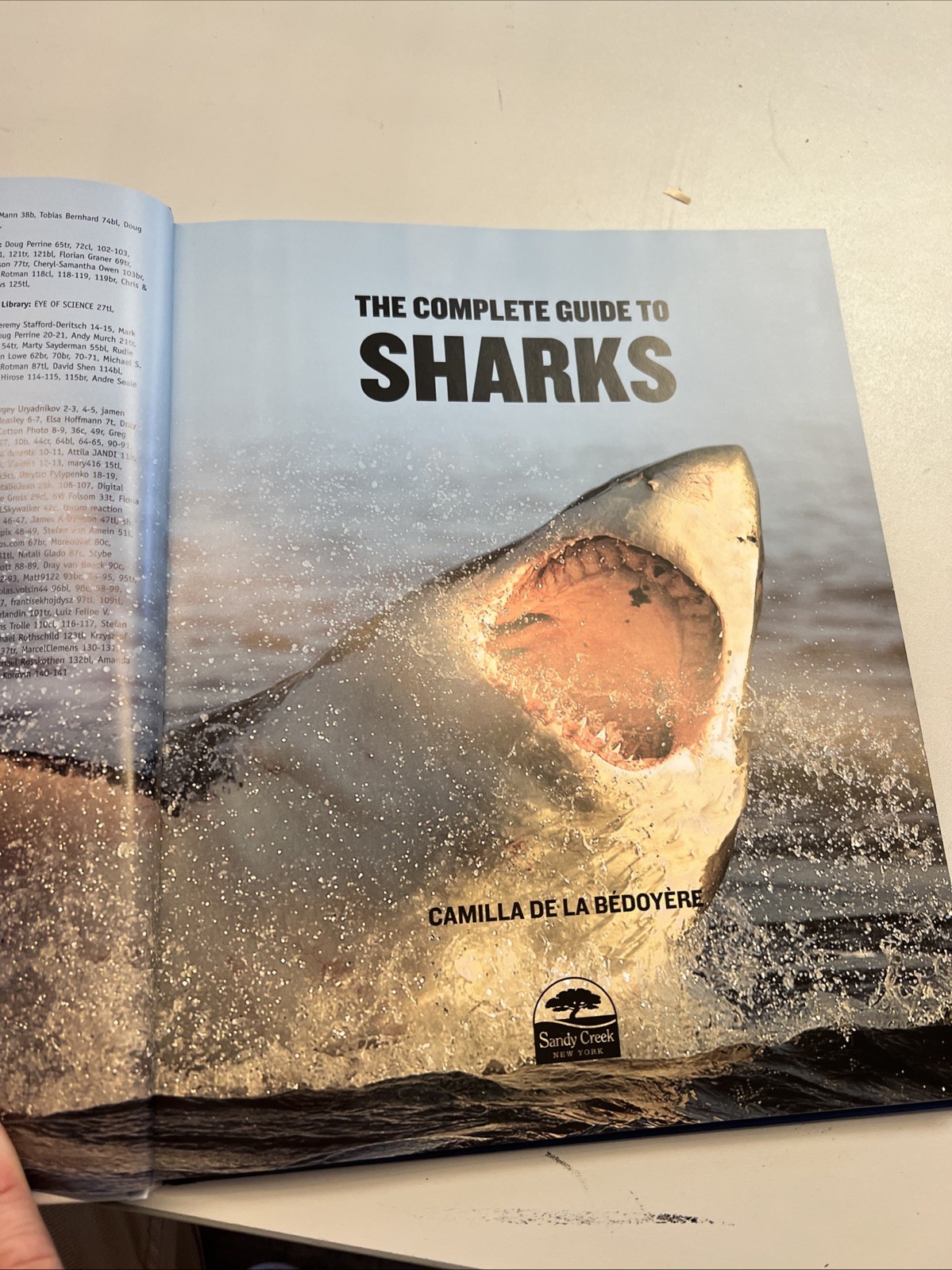 The Complete Guide to Sharks Hardcover Camilla de la Bedoyere