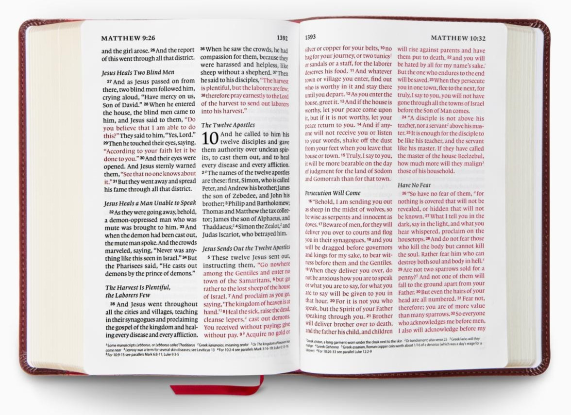 ESV Giant Print Personal Size Bible Red Letter, TruTone Mahogany, Trellis Design