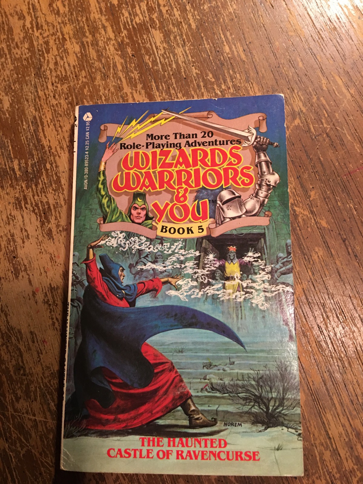 Wizards Warriors and You #5 – The Haunted Castle of Ravencurse – paperback