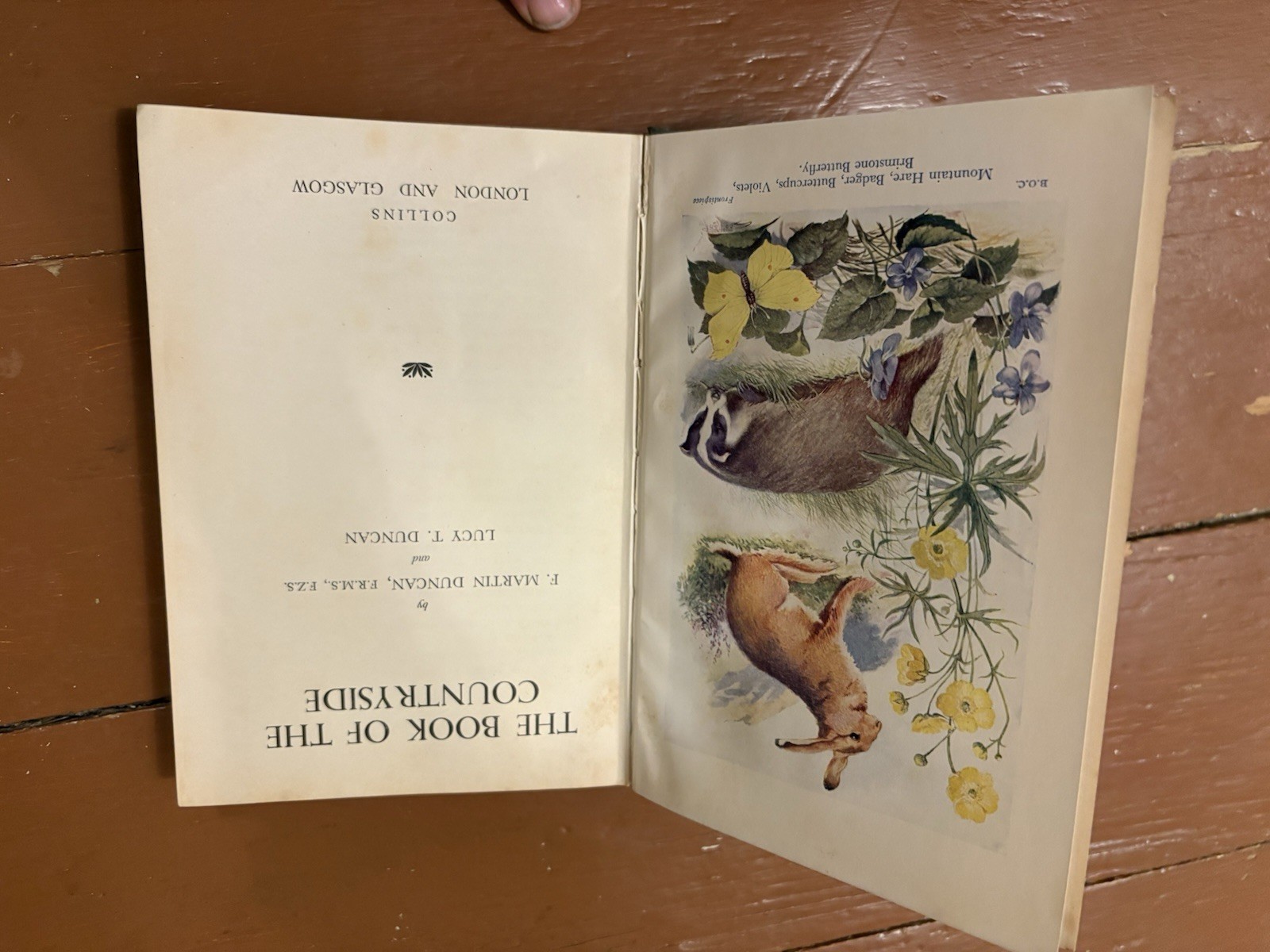 The Book of the Countryside (HC) Martin and Lucy Duncan 1927