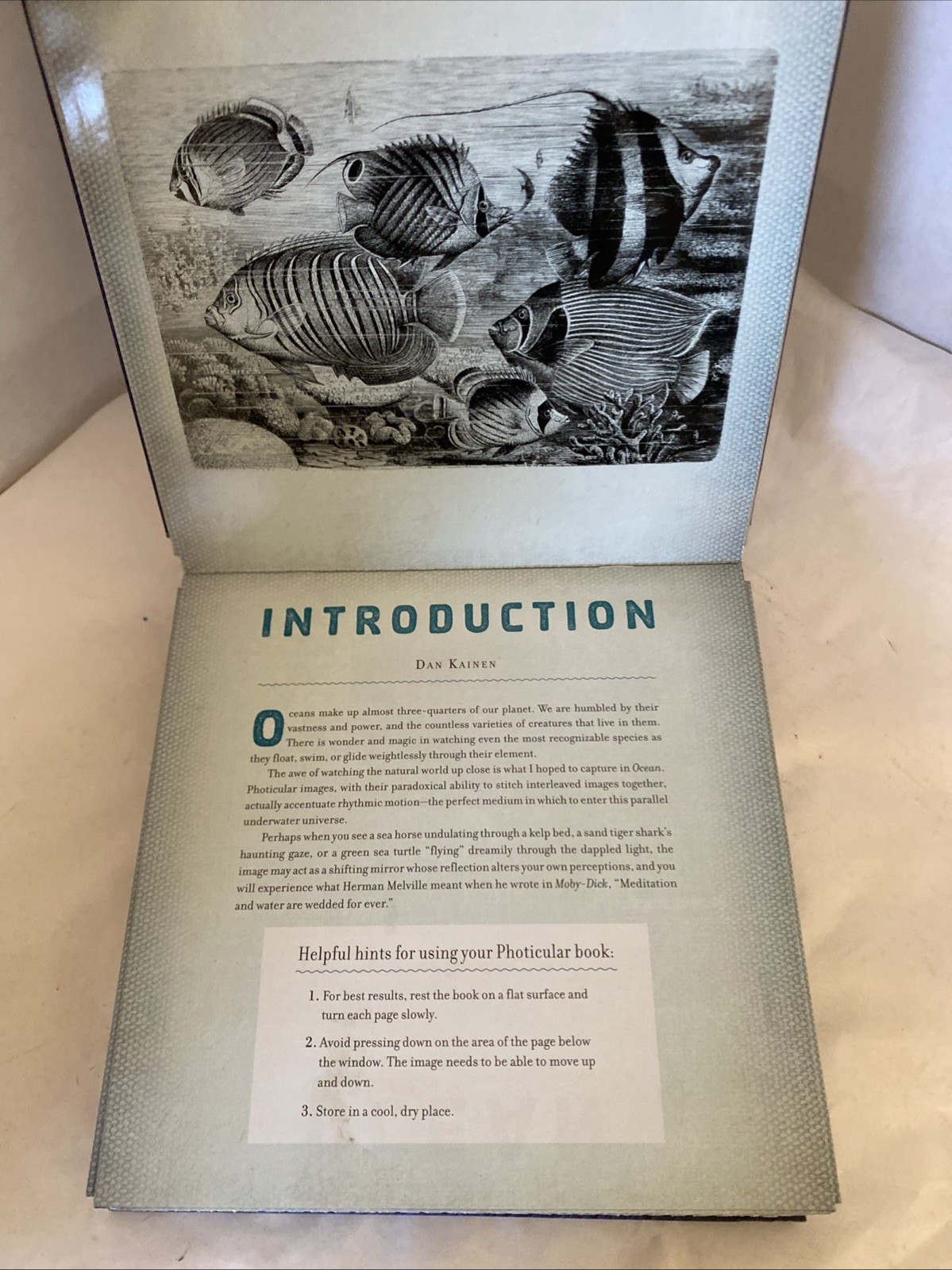 Ocean : A Photicular Book by Carol Kaufmann and Dan Kainen (2014, Hardcover)