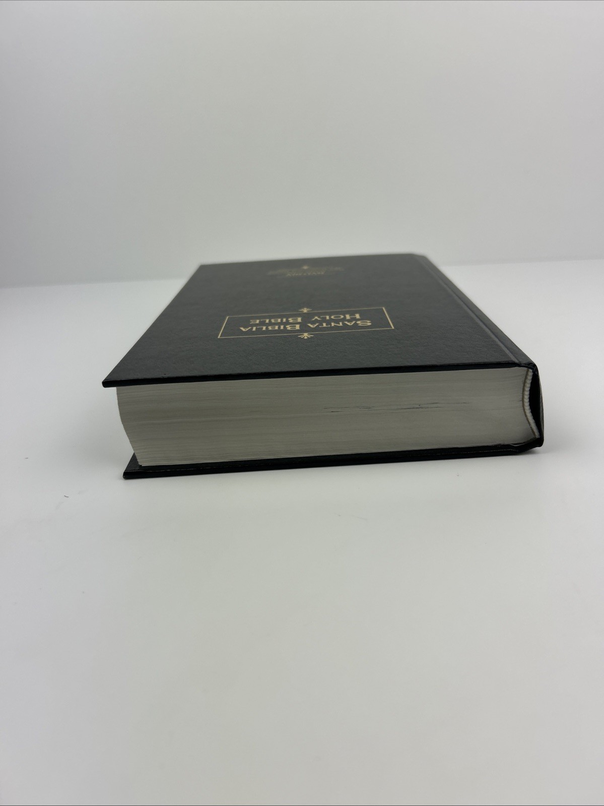 Santa Biblia Holy Bible NVI NIV New International Version Bilingual Spanish