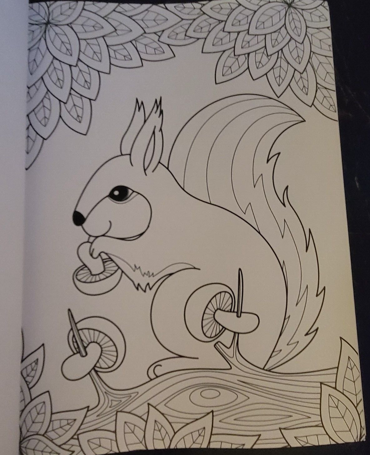 COLORS OF THE WILD Vol. 19 Adult Coloring Book With 47 Prints Ready To Frame!